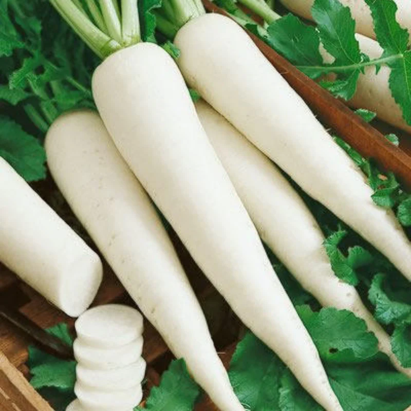 whiteradish